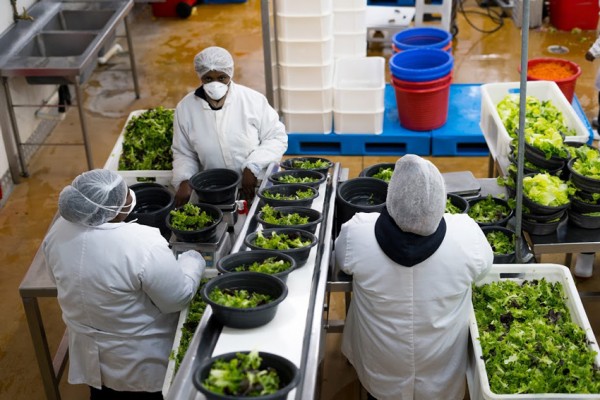 Substantial production capacity from Harvestfresh packing facilities