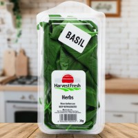 herbs basil