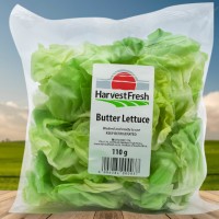 butter lettuce