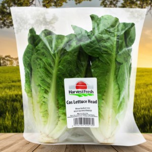 cos lettuce heads