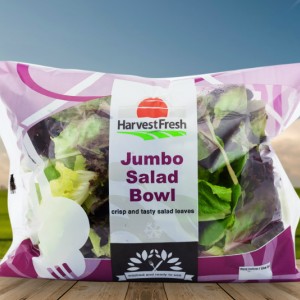 pillow jumbo salad bowl